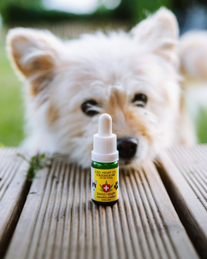 3% CBD OLEJ pre psov a mačky SWISS HEMPY 10 ml Swisshempy-300 mg