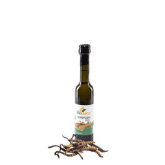 Cordyceps olej 40 ml